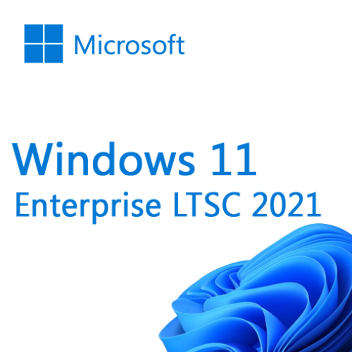 Microsoft Windows 11 IoT Enterprise 2024 LTSC